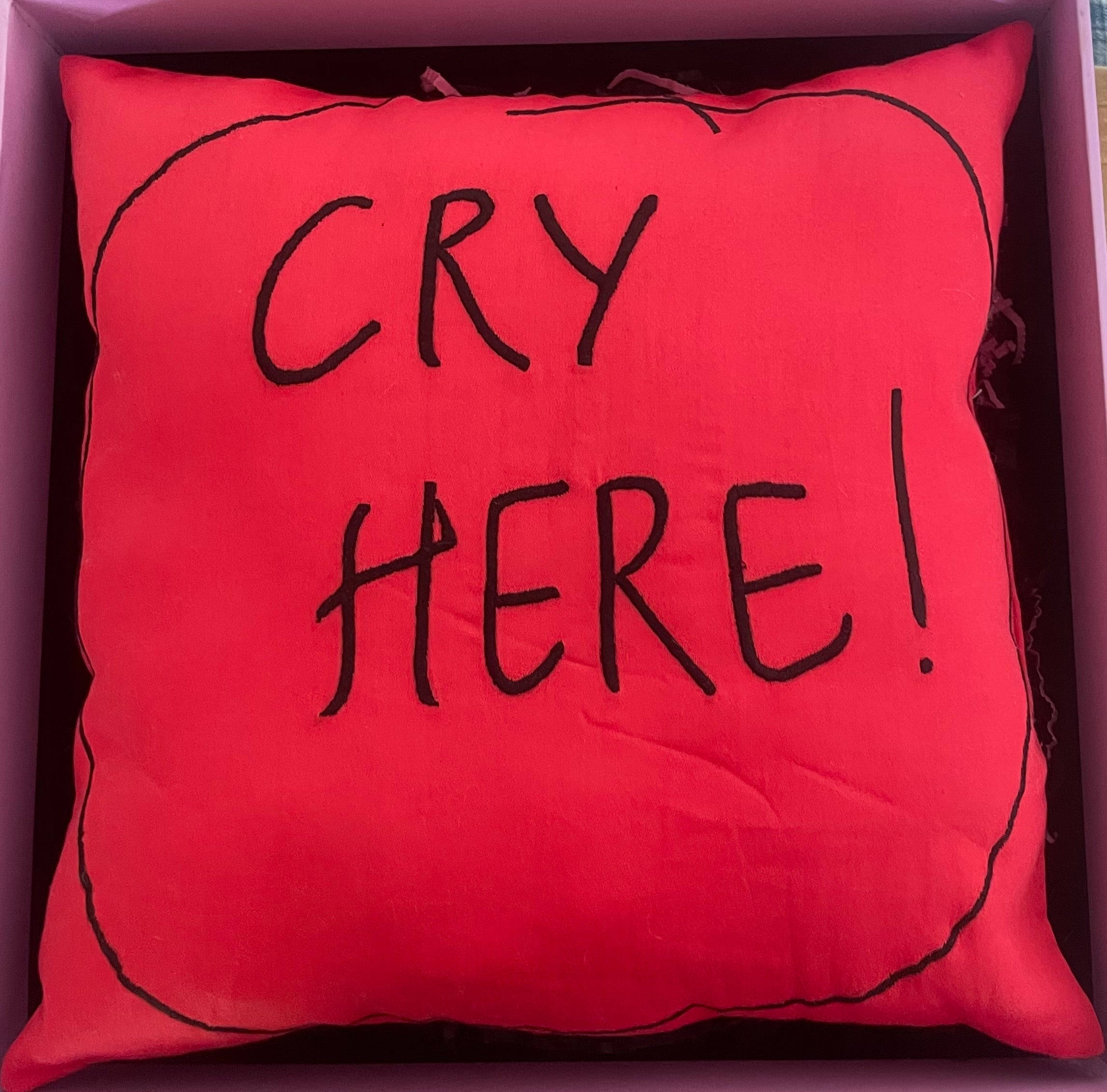 CRY HERE PILLOW